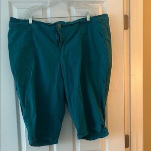 Lane Bryant Turquoise Shorts